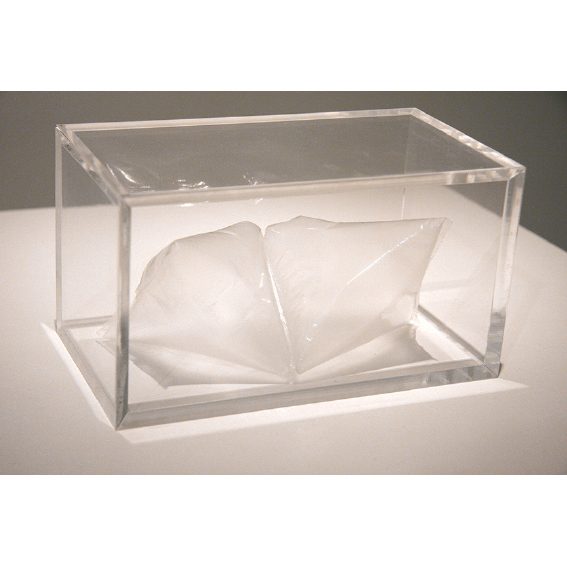 a testemunha não tem 
testemunha
bolsa de ar para preenchimento e acrílico
the witness has no witness
filling plastic bag and plexiglass

2017

JULIANA STEIN